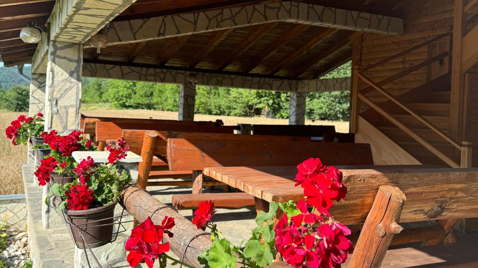 Forest Camp Despotovac Exterior foto